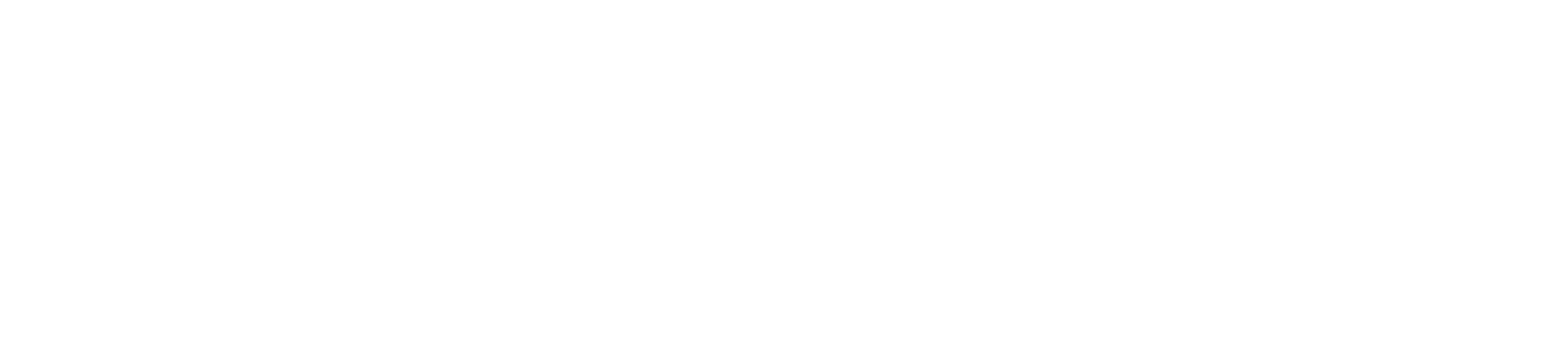 Argus HD