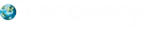 discoverych